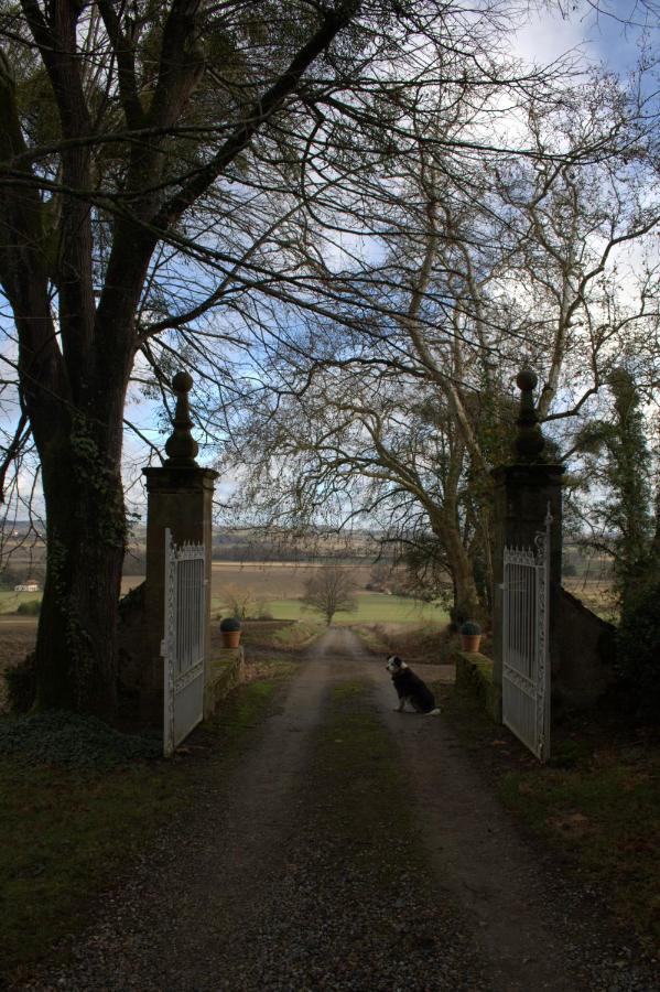 Au Chateau Juillac Exterior foto